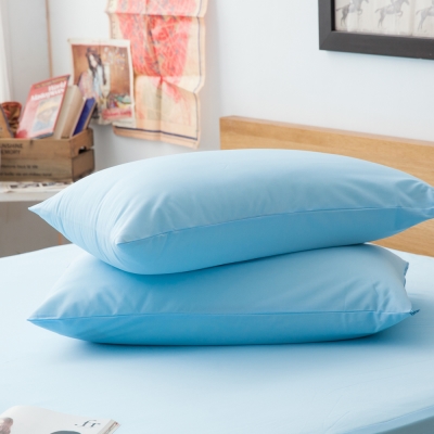 LAMINA 高科技膜防蹣防水枕用保潔墊-2入(藍)