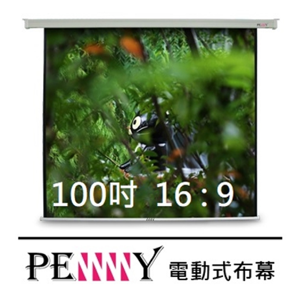 台灣專業製造~ PENNY PP-100 (16:9) 100吋方型電動幕