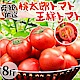 天天果園＊台灣嚴選桃太郎番茄(每斤3~5顆) x8斤±10% product thumbnail 1