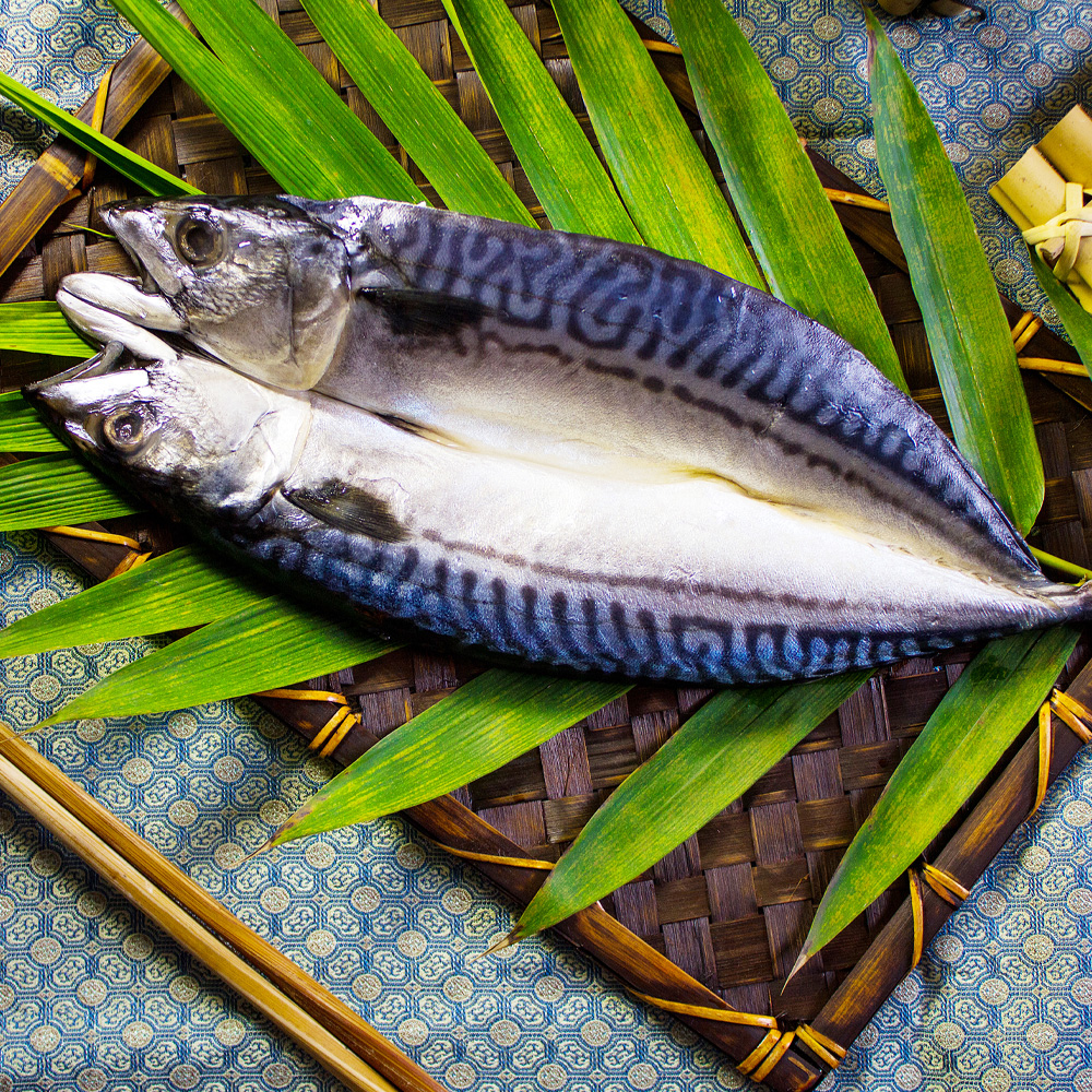 買一送一 好神 嚴選挪威鯖魚一夜干10尾組(300g/尾 共20尾)