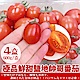 果之蔬＊極品鮮甜鹽地帥哥番茄 (每盒600g±10%) x4盒 product thumbnail 1