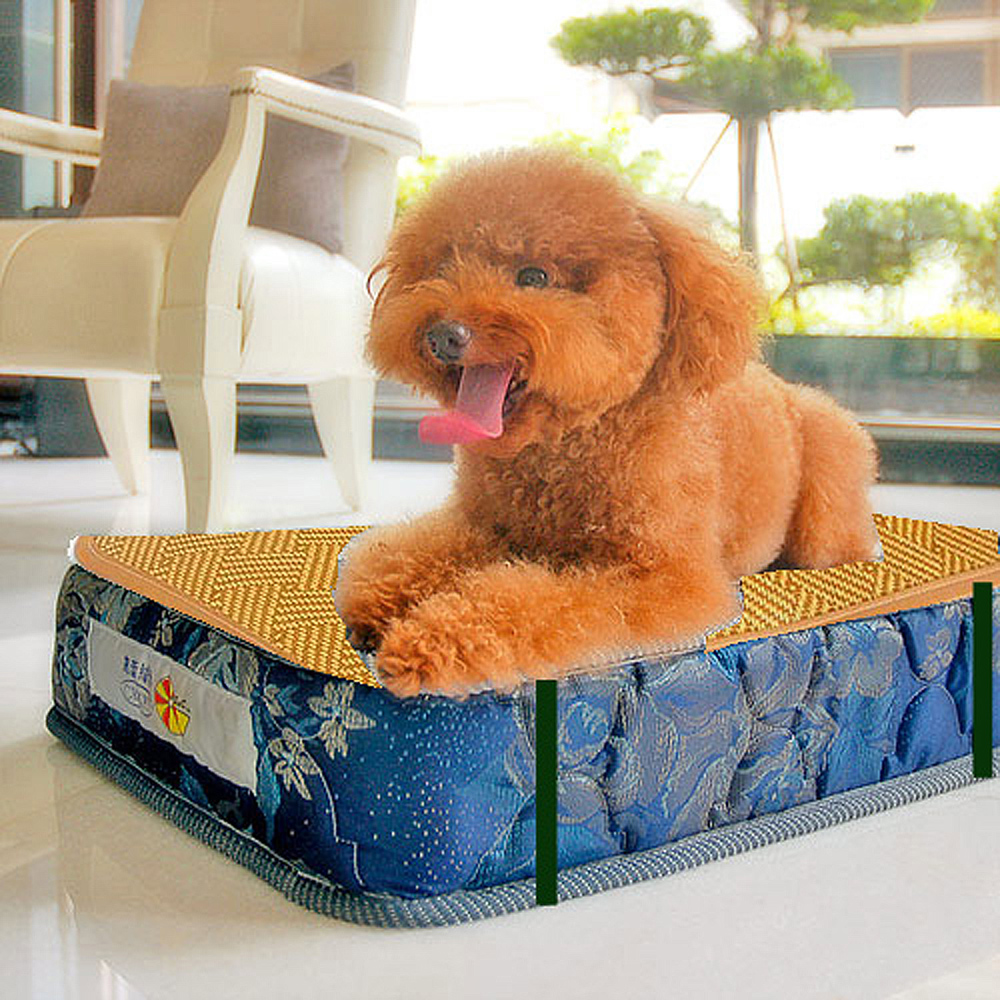 凱蕾絲帝-大中型寵物專用獨立筒彈簧床墊(60*90*11cm)