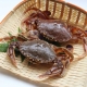 寶島福利站 現撈急凍牛蹄蟹母蟹超值裝（2000g/盒/15~20隻） product thumbnail 1
