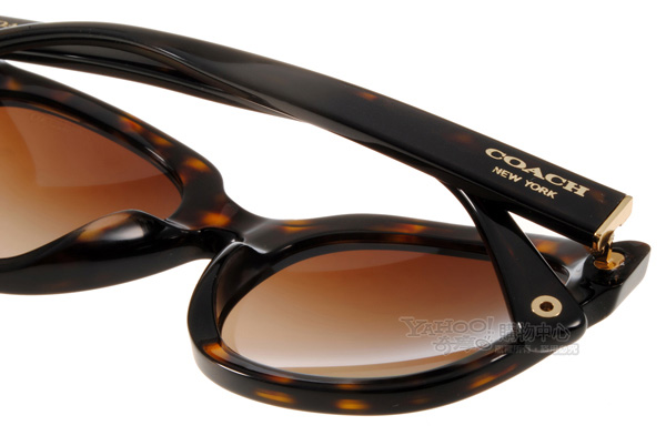 COACH太陽眼鏡 歐美貓眼款/琥珀色#COS8047F 500113