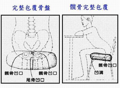 酷桔ㄚ挺脊美臀透氣辦公椅/電腦椅