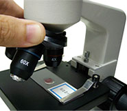 MICROTECH B313-LED-PC 學生型生物顯微鏡 數位套組