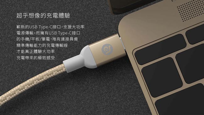 亞果元素 CASA B200 USB Type-C 公對公充電傳輸線