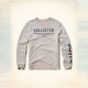 HCO hollister 海鷗 經典文字印刷大學T 灰 product thumbnail 1