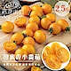 果之蔬＊黃金溫室橙蜜香小蕃茄 X1箱【2.5台斤±10%】 product thumbnail 1