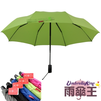 雨傘王-BIGRED太極-自動開收折傘-果綠色
