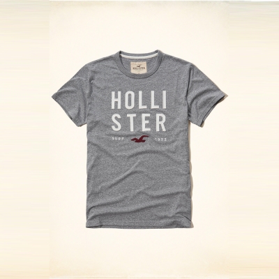 Hollister HCO 海鷗 經典海鷗文字設計短袖T恤-灰色