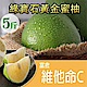 【天天果園】綠寶石屏東綠蜜柚(5斤/箱) product thumbnail 1