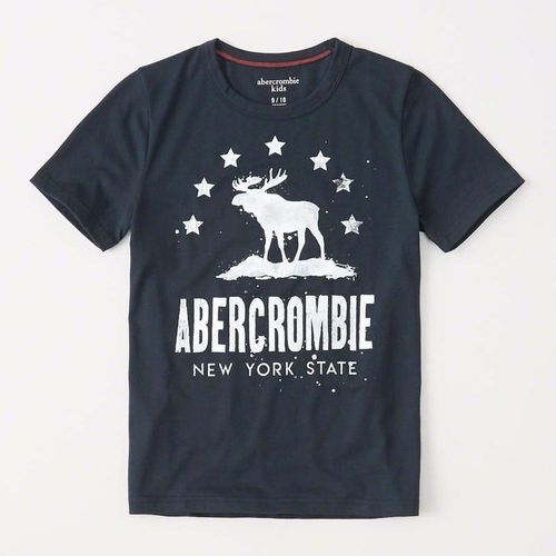 AF a&f Abercrombie & Fitch 小孩 T恤 藍色 0628