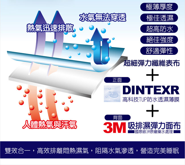 LooCa 護理級雙效防水5cm全記憶床墊 -加大