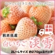 【果之蔬】日本奈良縣-白???淡雪白草莓【單盒300克*2P/12顆】 product thumbnail 1