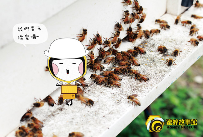 【蜜蜂故事館】百花禮盒15號(清邁龍眼700g+蜂蜜醋375ml)