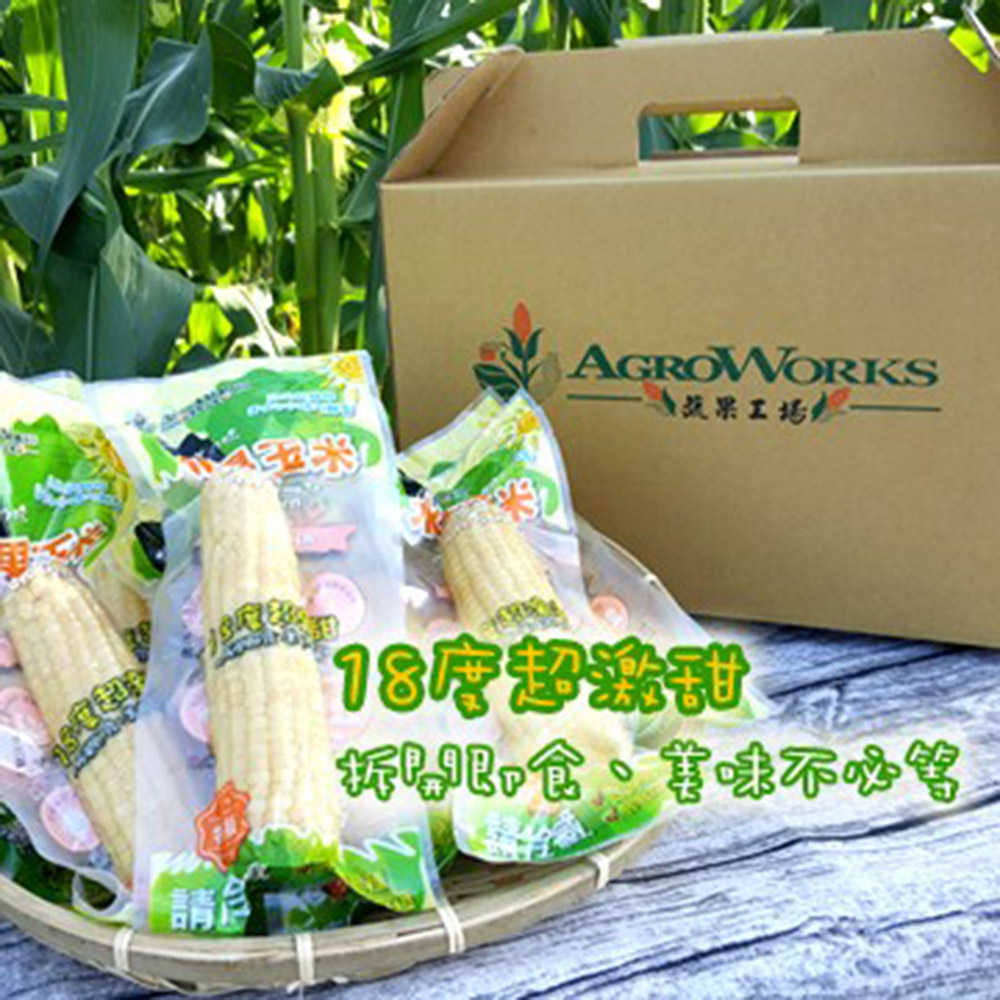 Agroworks蔬果工場 北海道水果玉米棒(迷你，10/箱)