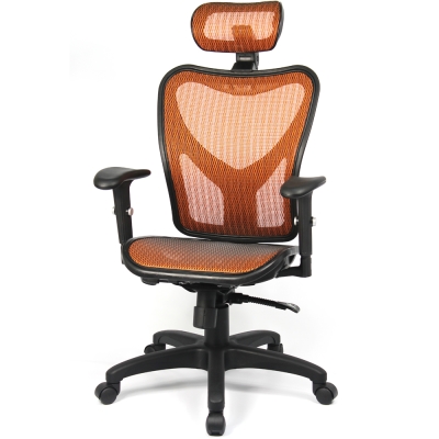 aaronation愛倫國度 - 頭枕式透氣網背頂級辦公椅/電腦椅