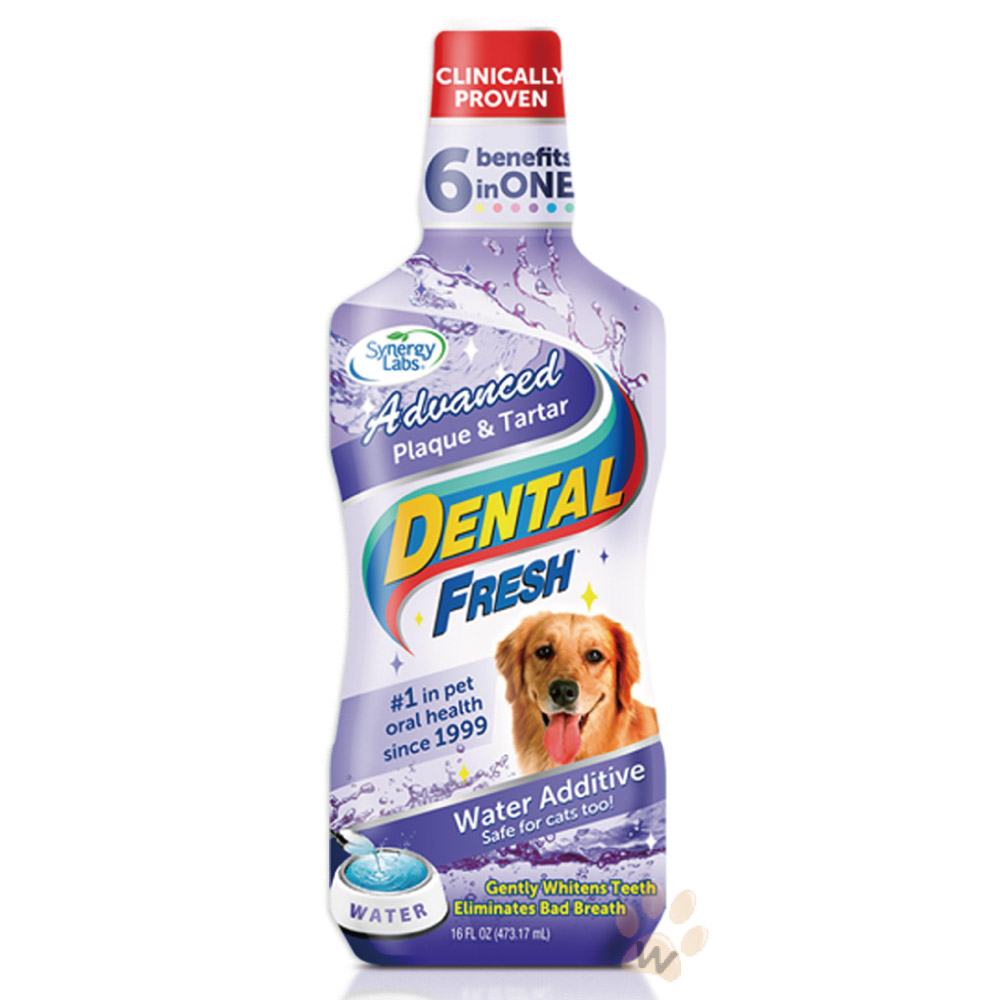 美國潔牙白Dental Fresh-加強版潔牙液 503ml (DF0006)「兩罐組」