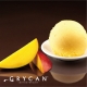 Grycan 波蘭芒果雪酪冰淇淋 2入 (500ml/入) product thumbnail 1