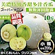 (買5送5)【天天果園】美濃特級小香瓜10斤(28-32顆) product thumbnail 1