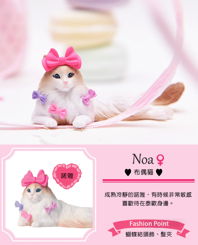 Mary’s favorite Cat 時尚寵物貓咪(箱購12入)