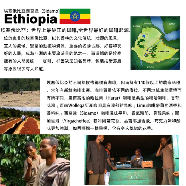 幸福流域 埃塞俄比亞 西達摩-咖啡豆(1磅)