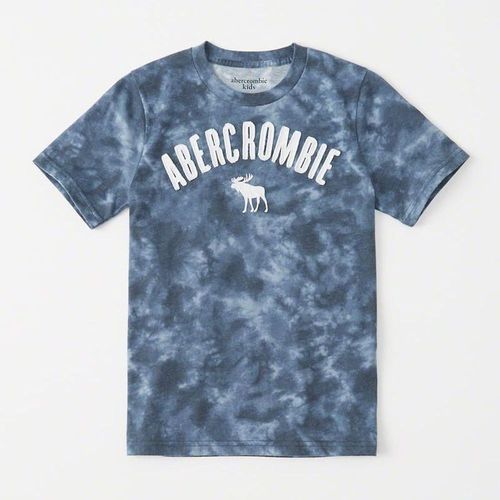 AF a&f Abercrombie & Fitch 小孩 T恤 藍色 0626