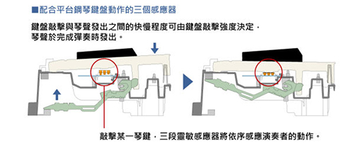 CASIO卡西歐原廠直營門市 Privia入門款數位鋼琴PX-770