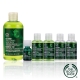 The Body Shop 茶樹淨膚超值好康6件組 product thumbnail 1