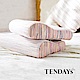 TENDAYS DISCOVERY 優眠枕 2入 product thumbnail 1