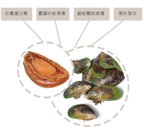 紐西蘭《狂野主廚 無穀料理 貓主食餐罐》85g (24罐組)