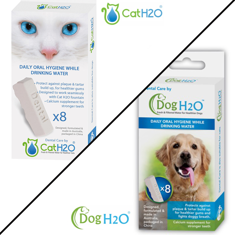 DOG&CAT H2O 有氧濾水機專用 潔牙錠 2L/6L 8入裝x1盒