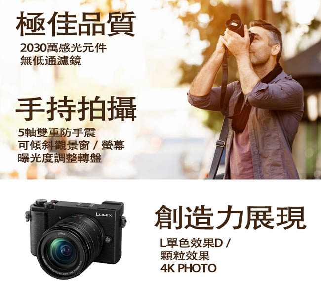 Panasonic LUMIX DMC GX9單機身 (公司貨)