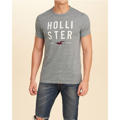 Hollister HCO 海鷗 經典海鷗文字設計短袖T恤-灰色