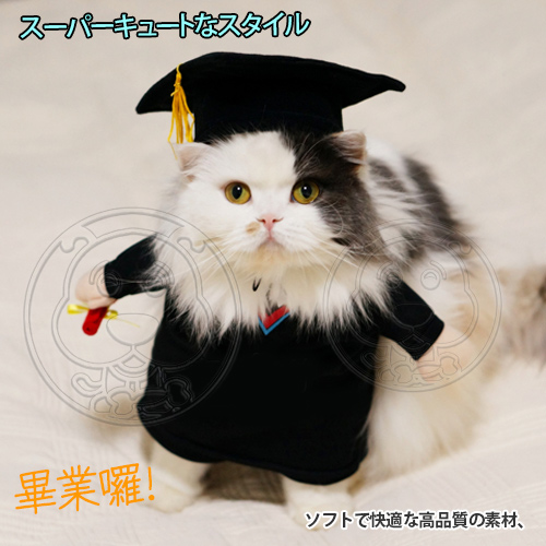 DYY》畢業囉！學士服寵物變身裝5號