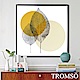 TROMSO北歐時代風尚有框畫-日初觀葉50*50cm product thumbnail 1