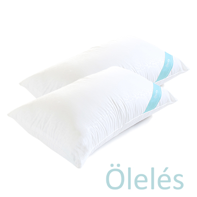 Oleles 歐萊絲 乳膠QQ枕2入組