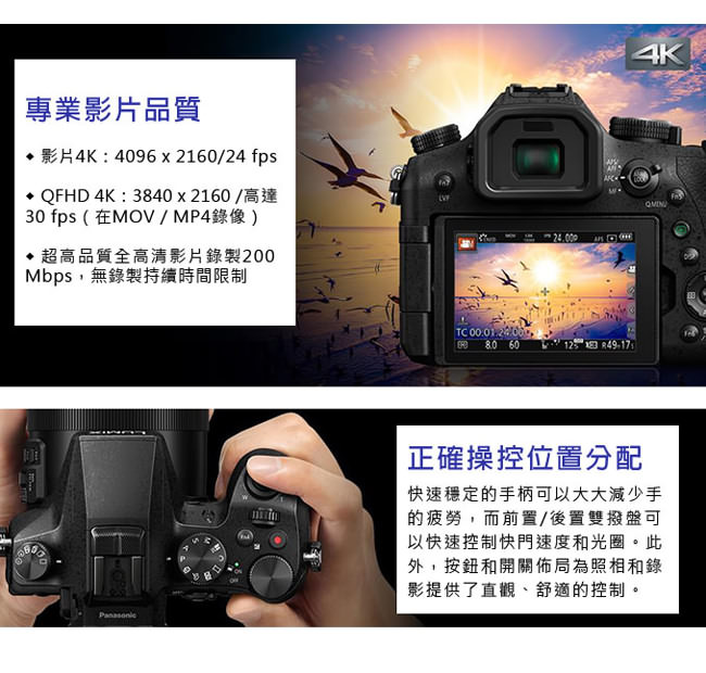 Panasonic DMC-FZ2500 Lumix 4K高倍變焦相機*(平輸中文)