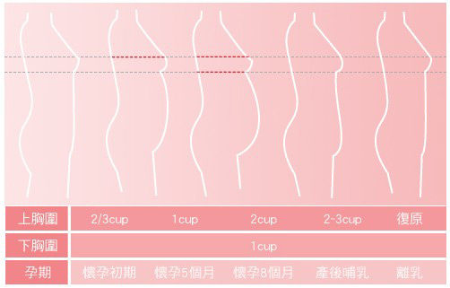 孕婦內衣 遠紅外線哺乳內衣(共二色) Mamaway