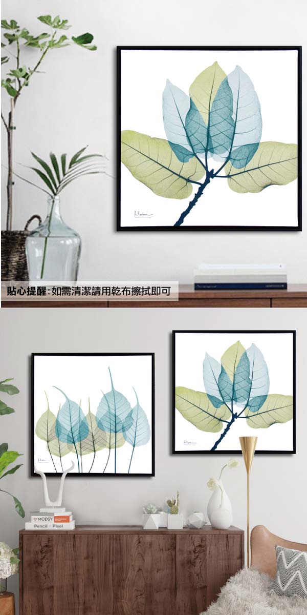TROMSO北歐時代風尚有框畫-藍綠葉脈50X50CM