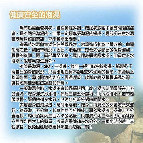 泳裝 兩件式 泡湯 肩袖二截女泳裝 沙兒斯