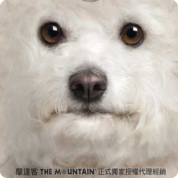 [摩達客]美國進口The Mountain捲毛比熊犬臉T