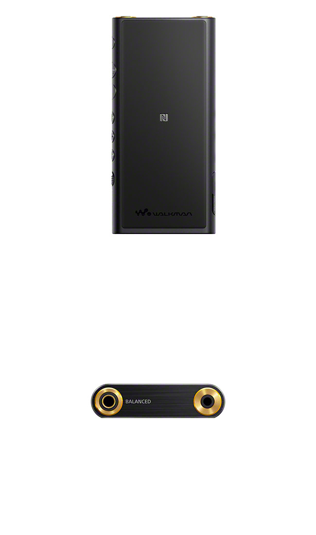 SONY Hi-Res Walkman 64G 數位隨身聽 NW-ZX300