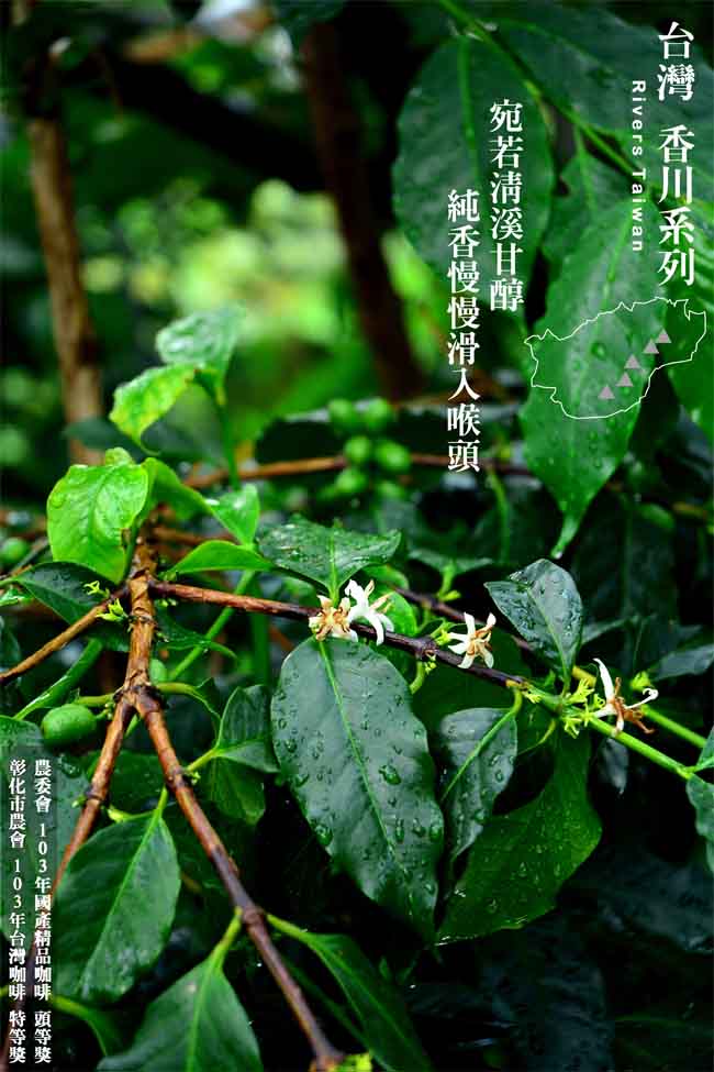 苦花咖啡 台灣高山咖啡-100%純台灣咖啡豆1/4磅(香川系列)