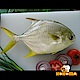 極鮮配888任選 超大富貴金鯧魚(800g±10%隻) product thumbnail 1