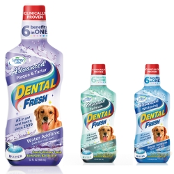 Dental Fresh《犬用》潔牙液