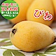 愛蜜果 日本長崎/香川茂木溫室枇杷 9-12玉  共2盒 (600克± 10% / 每盒) product thumbnail 1