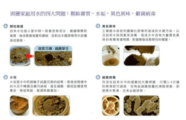 BWT德國倍世-手動反沖洗雜質過濾器Proector