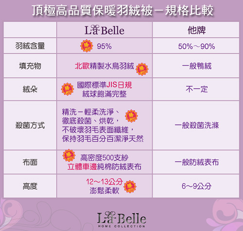 義大利La Belle 95/5德國天然水鳥羽絨冬被--單人